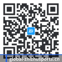 系统版 iOS 二维码